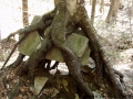 One of the many interesting sites along the trails.
