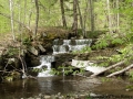 One of many sights along Joy Brook