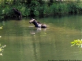 HPIM0294.JPG