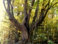 cimg1058_0.jpg