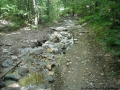 dscn0341