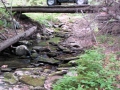 3606035506_f6e41e2d85_b