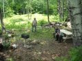 dscn0397
