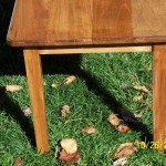 Table #1 End View